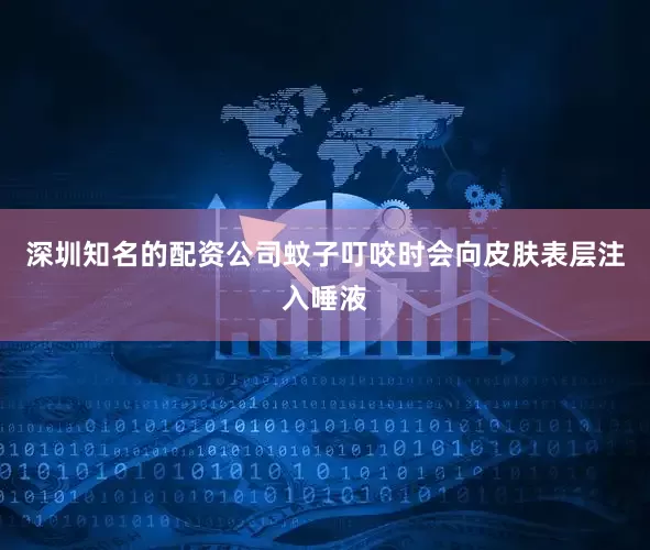 深圳知名的配资公司蚊子叮咬时会向皮肤表层注入唾液